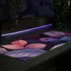 blad in de nacht muismat